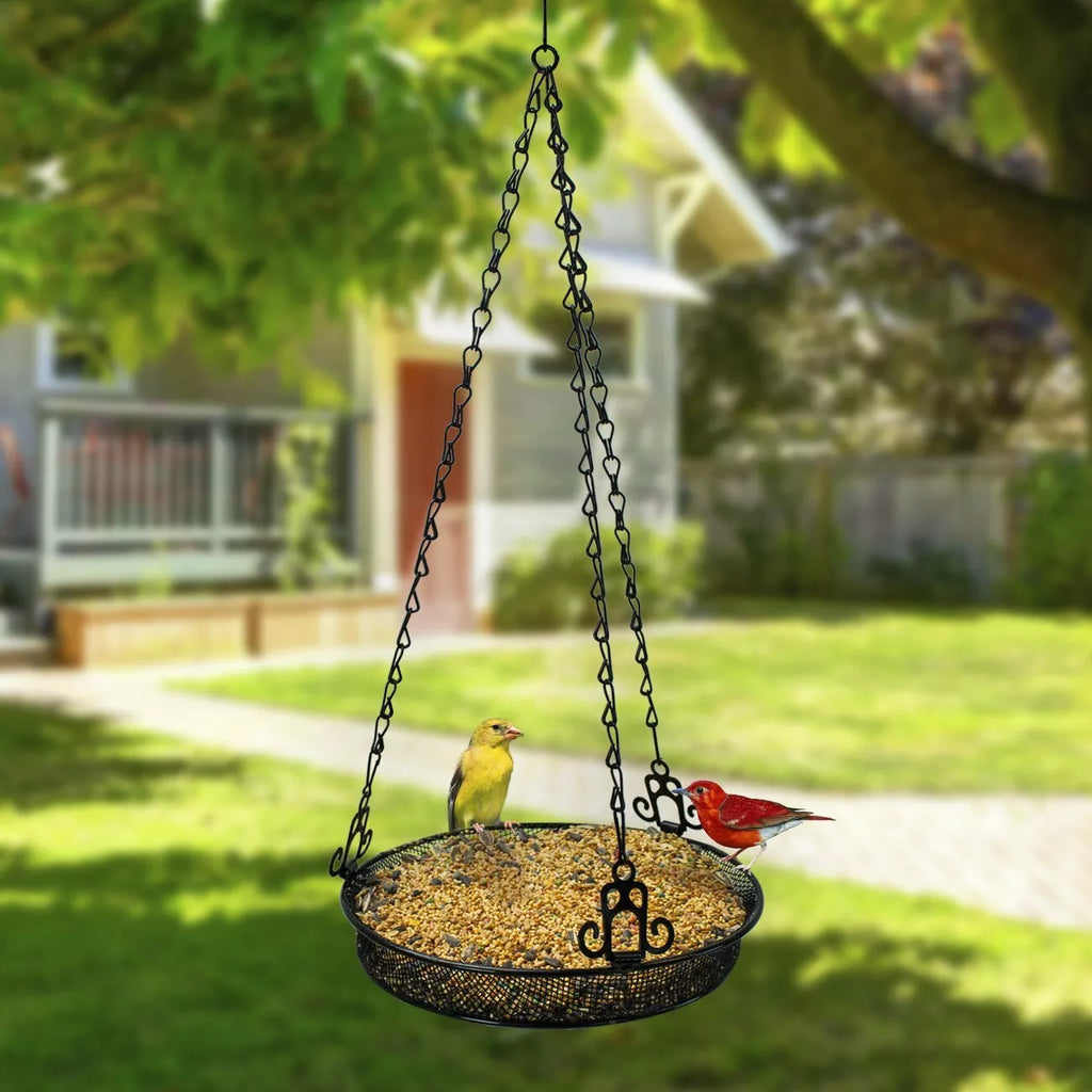 Hanging Bird Feeder Easy-to-Hang Tray for Attracting Birds