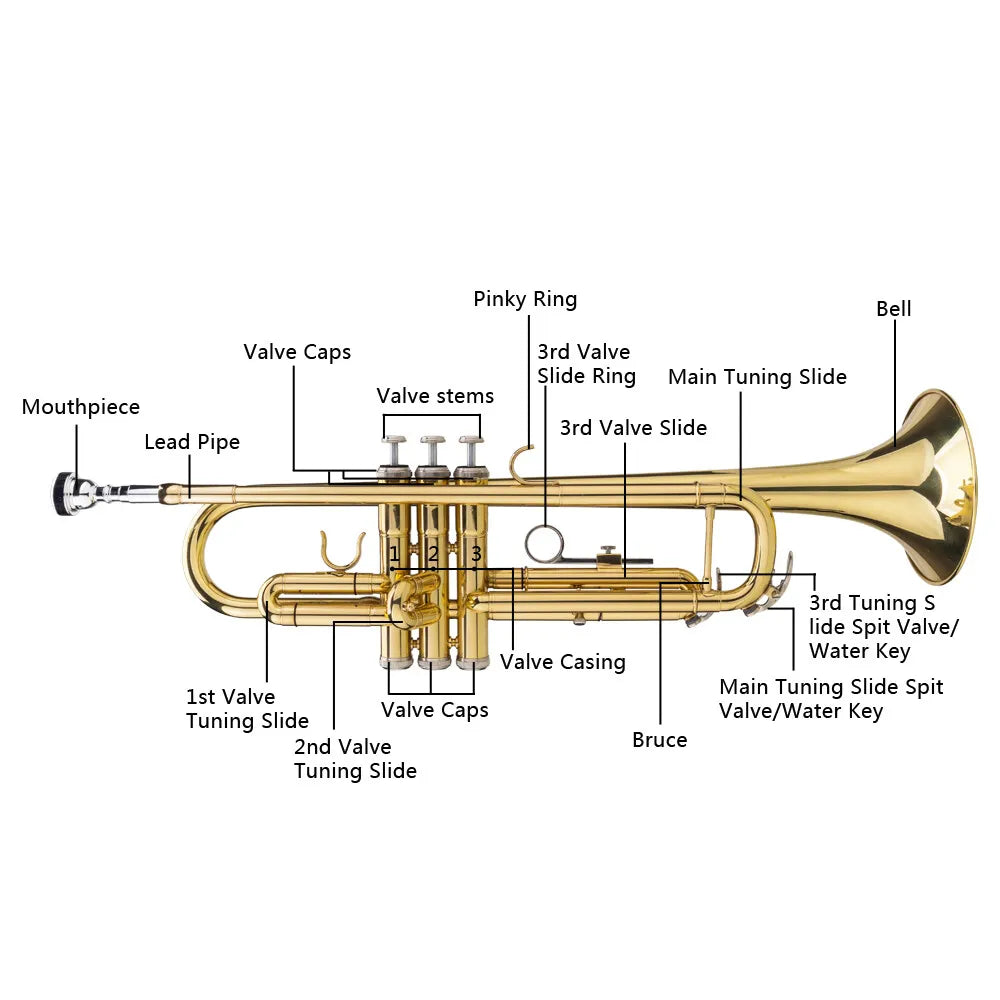 Bb Trumpet Beginner Set with Golden Finish and Hard Case for Students