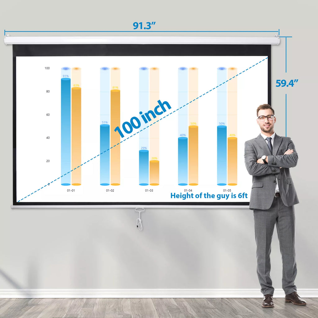 100" 16:9 HD Pull Down Projector Screen Home Office Use