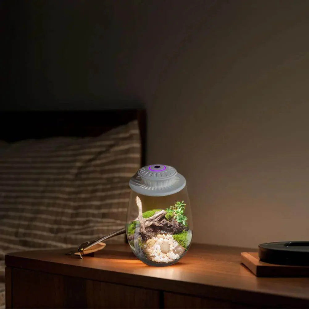 Glass Plant Terrarium with Grow Light