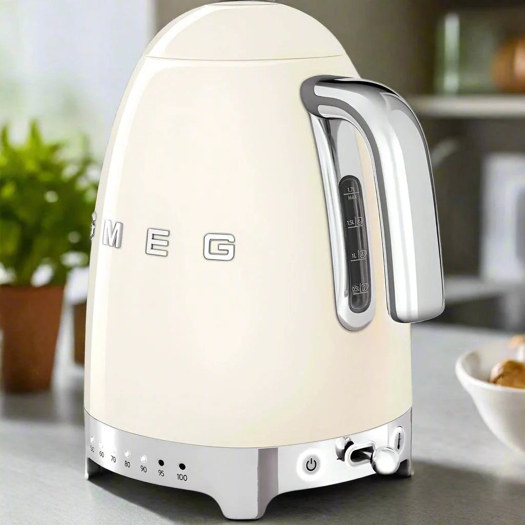 Variable Temperature Electric Kettle