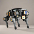 AI Programmable Robot Kit