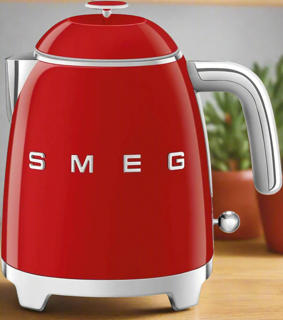Variable Temperature Electric Kettle