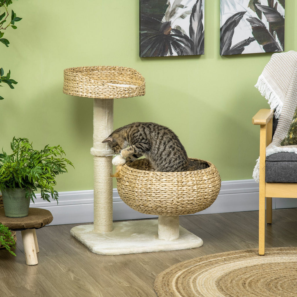 Modern Cat Tree Indoor Cat Tree Basket With Ball Toy and Scratch Post