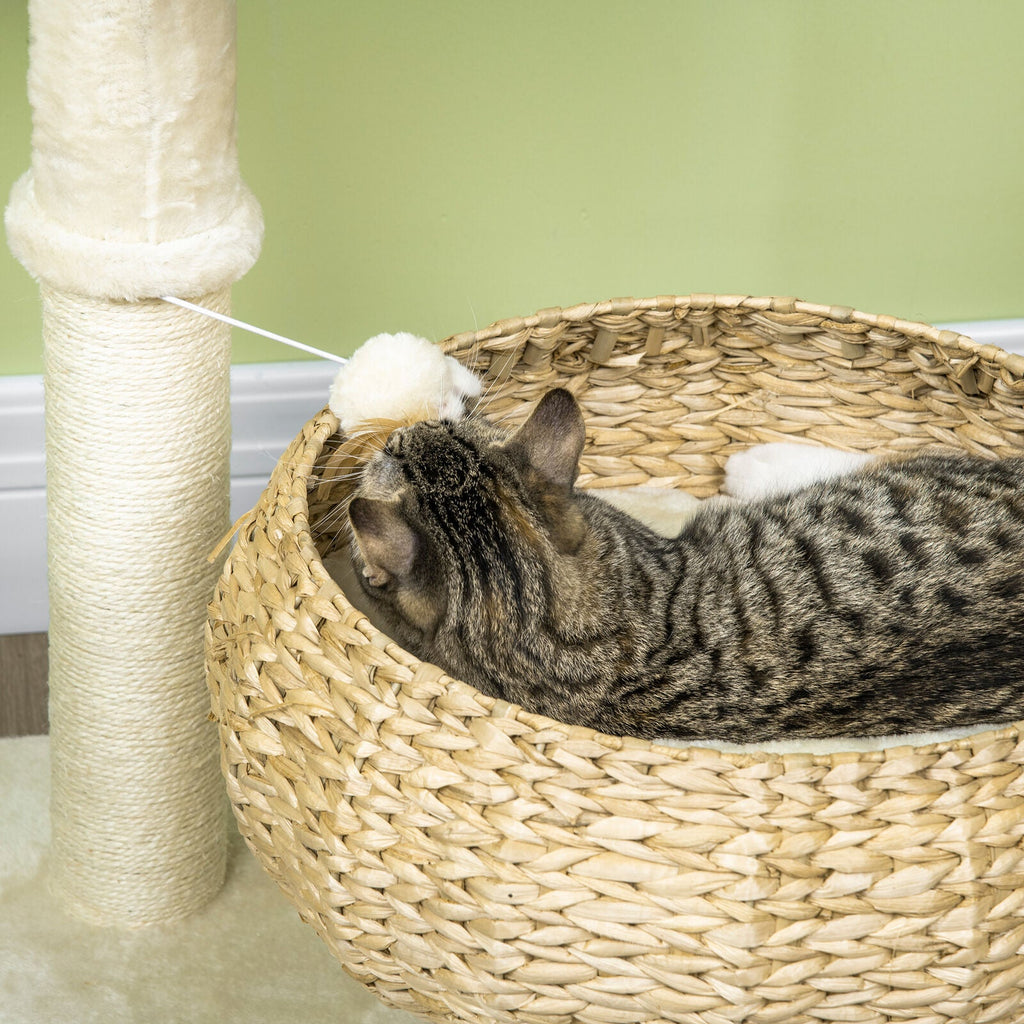 Modern Cat Tree Indoor Cat Tree Basket With Ball Toy and Scratch Post