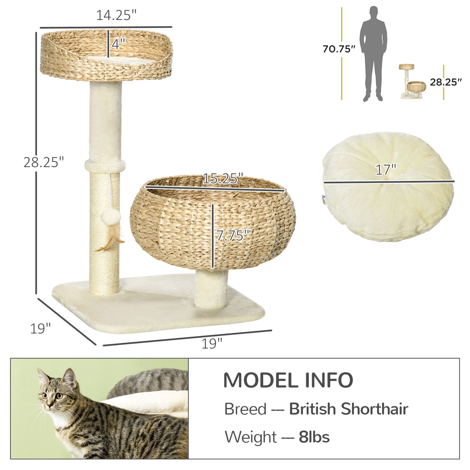 Modern Cat Tree Indoor Cat Tree Basket With Ball Toy and Scratch Post