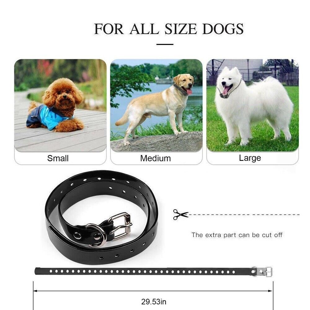 Rechargeable Remote Control Waterproof Dog Training Collar