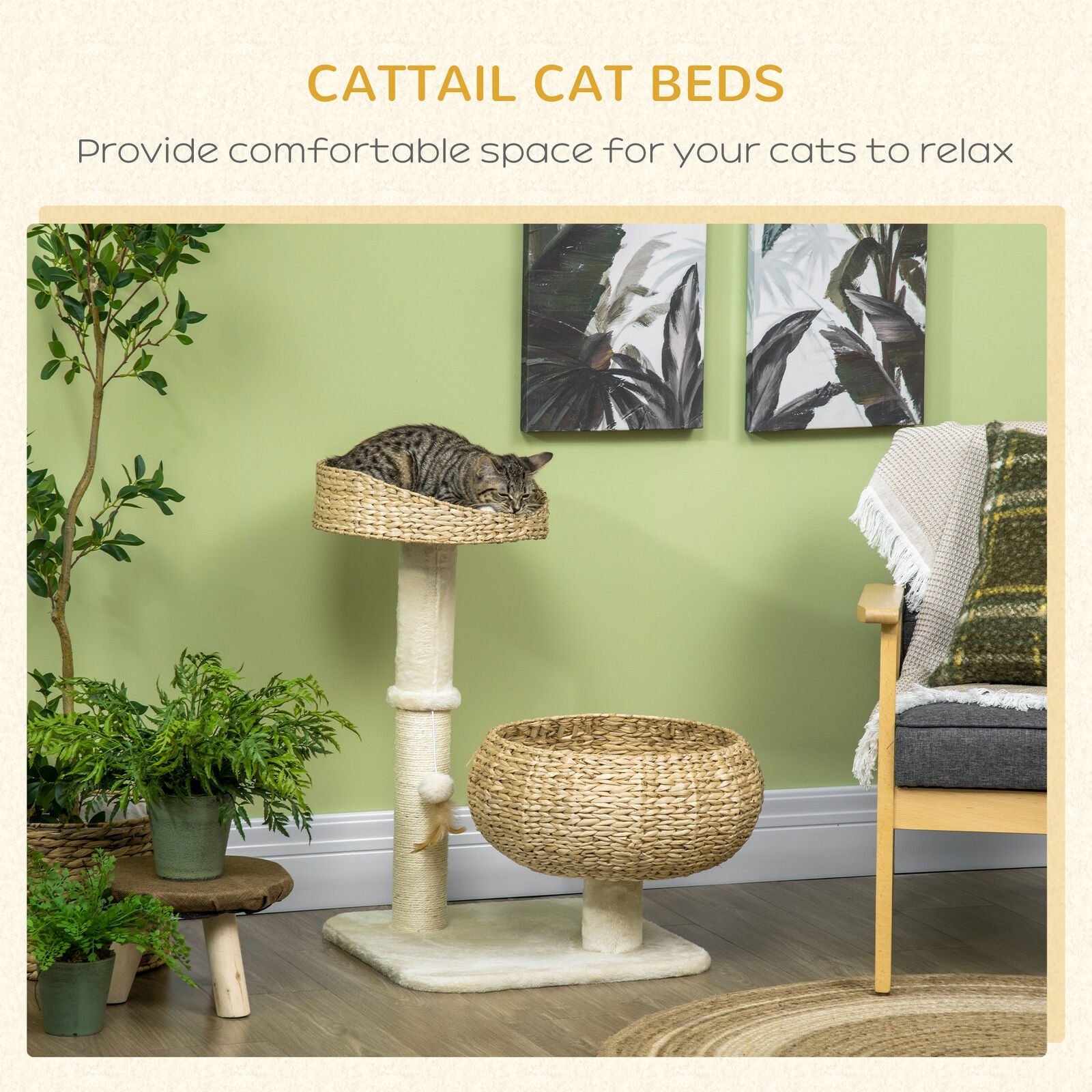 Modern Cat Tree Indoor Cat Tree Basket With Ball Toy and Scratch Post